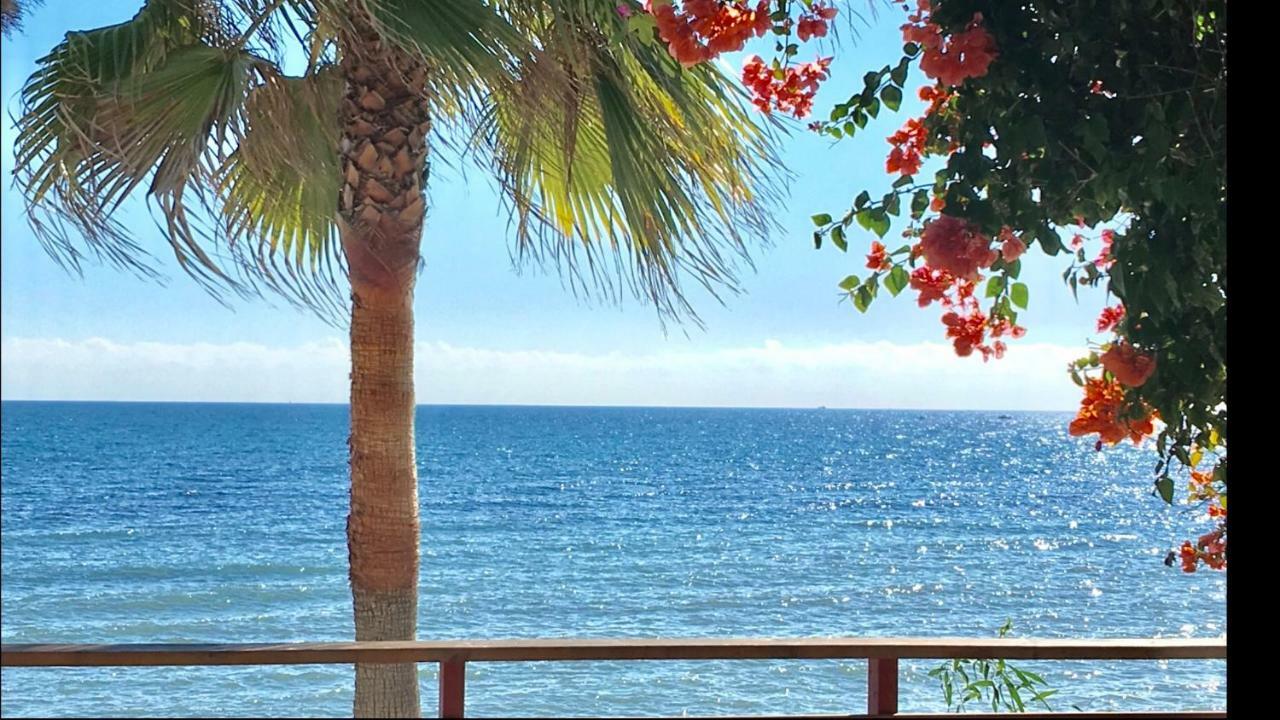 Mi Capricho 2B1 Beachfront Complex-Apartment Beachside With Sea Views Sitio de Calahonda 외부 사진